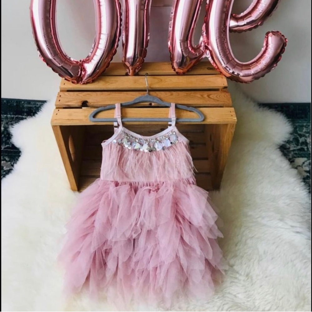 Feathered Tulle Dress 2T